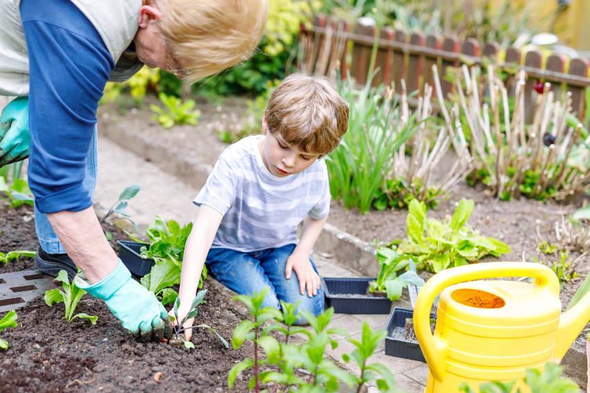 Gardening with Kids